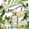 AERIN Eau de Parfum Chèvrefeuille Méditerranéen Tiaré