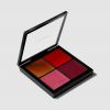 Palette Visage Pro : Fard à Joues